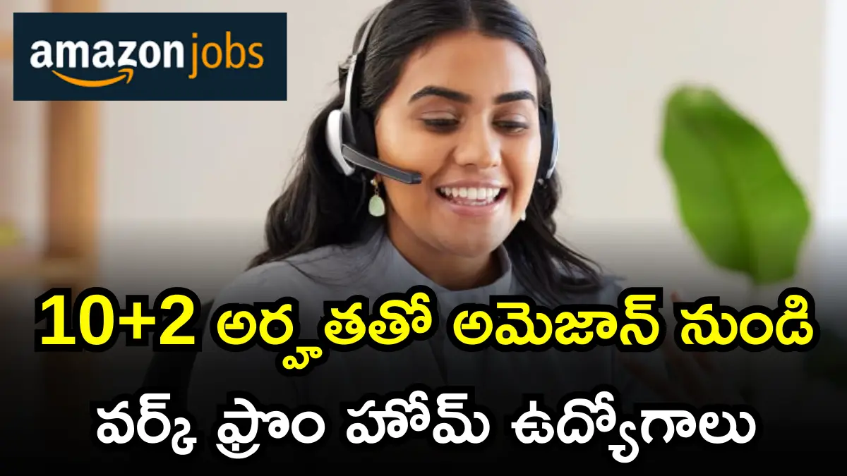 Amazon Work From Home jobs in telugu